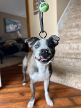 Load image into Gallery viewer, Custom Magnet/Ornament